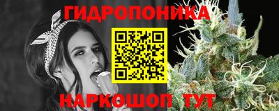 индика Заводоуковск