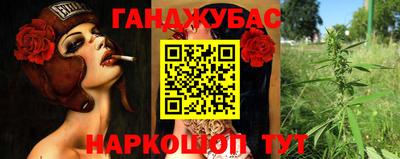 индика Заводоуковск