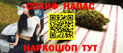 индика Заводоуковск