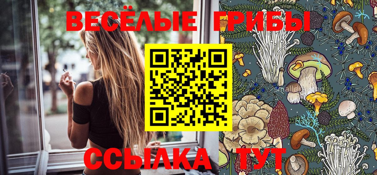 Псилоцибиновые грибы Psilocybe  Вход с VPN  Елец  Галлюциногенные грибы мухоморы 
